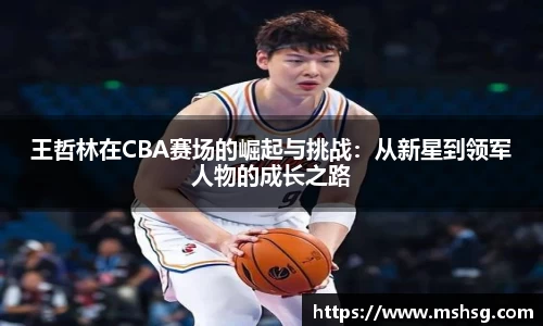 王哲林在CBA赛场的崛起与挑战：从新星到领军人物的成长之路